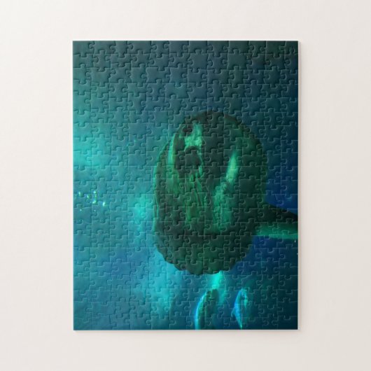 Sun Fish. Puzzle (Vertikal)