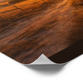 Sun flare over empty prairie poster (Ecke)