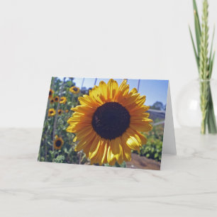 SUN flower Karte