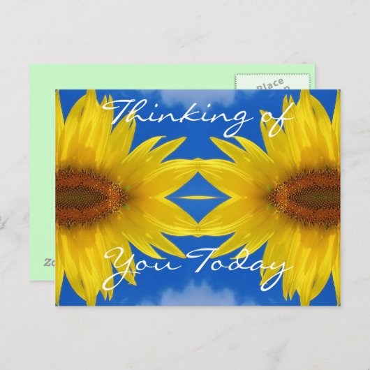 Sun Flower Postcard Postkarte (Vorne/Hinten)