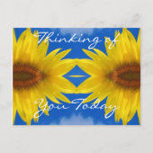 Sun Flower Postcard Postkarte (Vorderseite)