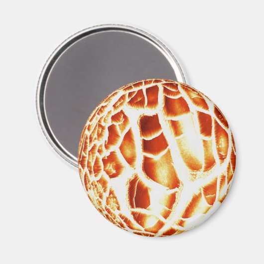 Sun Foto Magnet (Vorderseite/Rückseite)