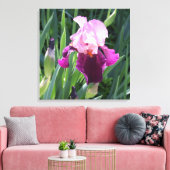 Sun-geküsste Pink Iris Blume Leinwand (Insitu (Wohnzimmer))