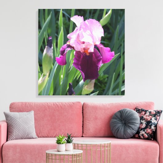 Sun-geküsste Pink Iris Blume Leinwand (Insitu (Wohnzimmer))