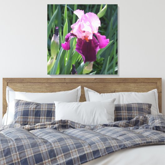 Sun-geküsste Pink Iris Blume Leinwand (Insitu (Schlafzimmer))