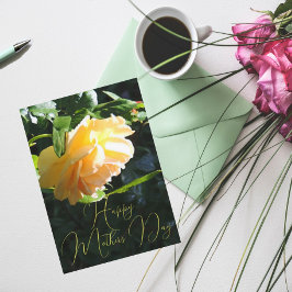 Sun Glow Yellow Rose Happy Mother Day Card Karte