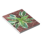 Sun Hosta Notizblock (angewinkelt)
