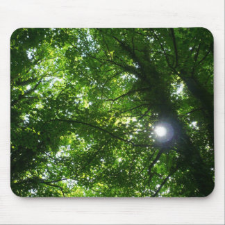 Sun in den Bäumen Mousepad