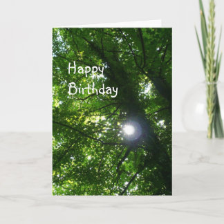 Sun in the Trees - Birthday Karte