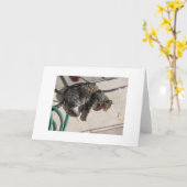 Sun-Katze Karte (Gelbe Blume)