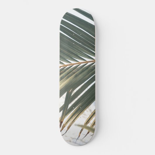 Sun Kissed Palm Leaf #1 #tropical #wall #art Skateboard (Vorderseite)