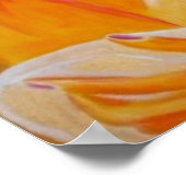 Sun-Kissed, Poster, Orange, Leben, Anbetung, Kimba Poster (Ecke)