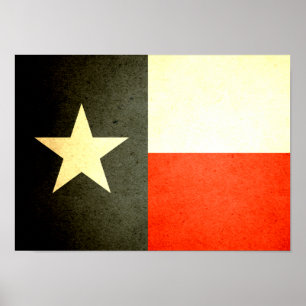 Sun küsste Texas Flag Poster
