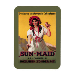 Sun-Mädchen Kalifornien-Rosinen-Plakat Magnet