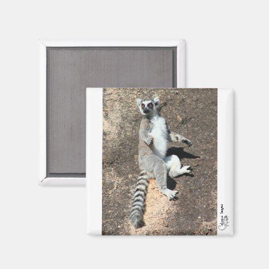 Sun-Magnet Magnet (Vorderseite/Rückseite)