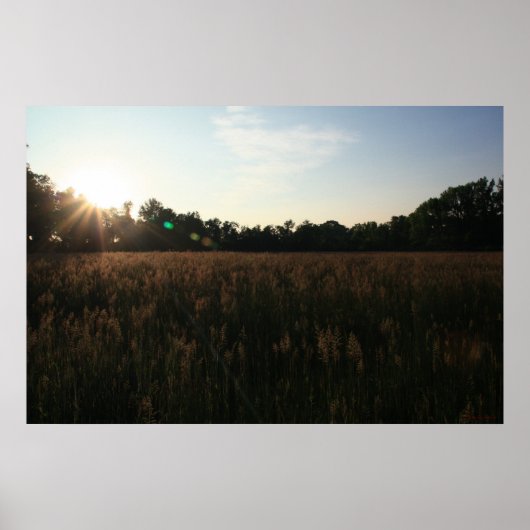 Sun Over Field #4156 Poster (Vorne)