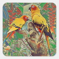 Sun Parakeets