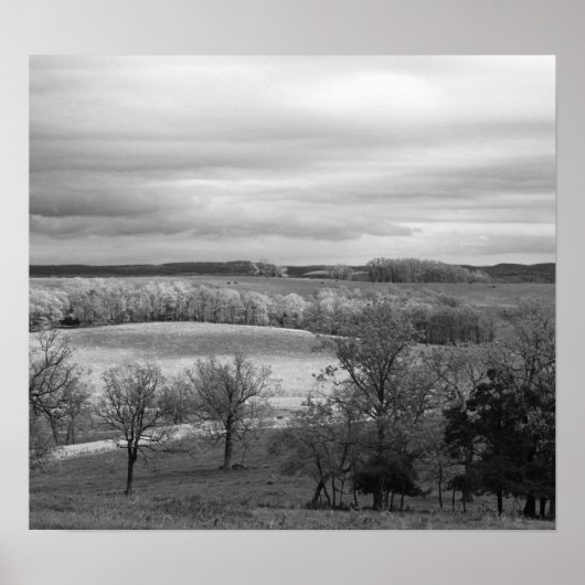 Sun-Patches Poster (Vorne)