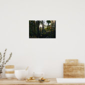 Sun Peaking durch Herbst Bäume Poster (Küche)