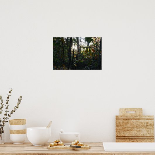 Sun Peaking durch Herbst Bäume Poster (Küche)