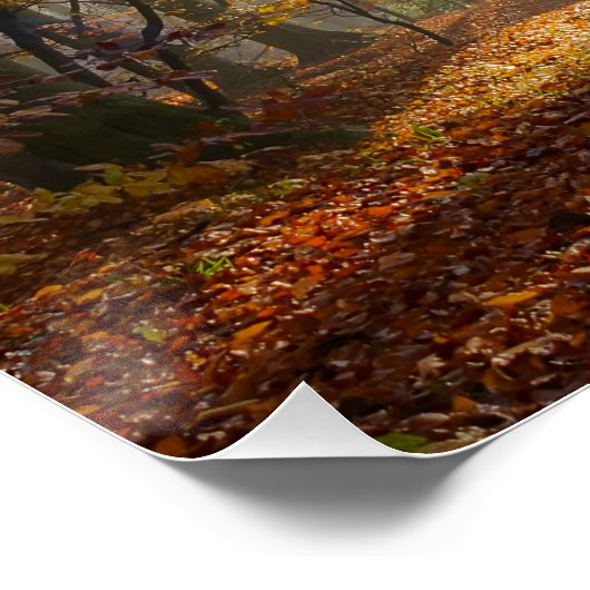 Sun rät Mystischer Nebelwald, Foto Poster (Ecke)