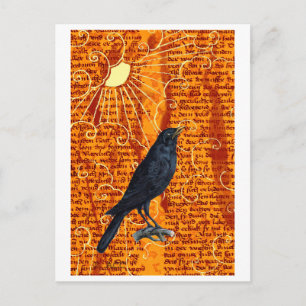 Sun Raven Postkarte