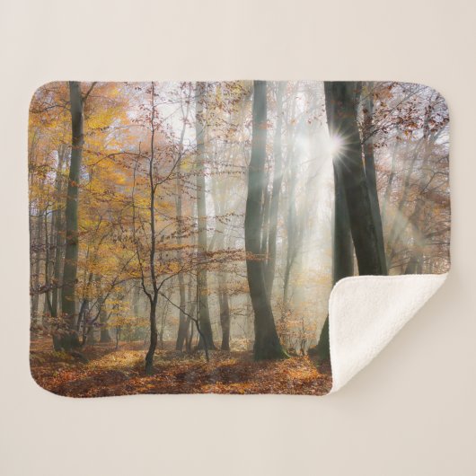 Sun Rays Mystic Landschaftlich Fall Forest Nature Sherpadecke (Vorderseite (Horizontal))