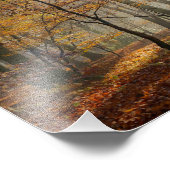 Sun Rays Mystic Misty Landschaftlich Forest - Pape Fotodruck (Ecke)