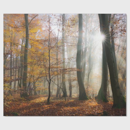 Sun Rays mystischen nebelhaften Wald, Geschenk Geschenkpapier (Flach)