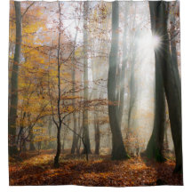 Sun Rays mystischen nebelhaften Waldduschvorhang