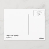 Sun Rays Through Trees Ontario Postcard Postkarte (Rückseite)