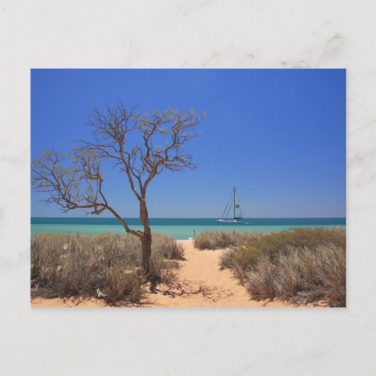 Sun, Sea, Sand - Monkey Mia Western Australien Postkarte (Vorderseite)