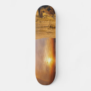 Sun Set Sea Cliff Skateboard