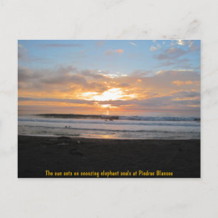 Sun-Sets auf snoozing Elephant-Siegeln Postkarte