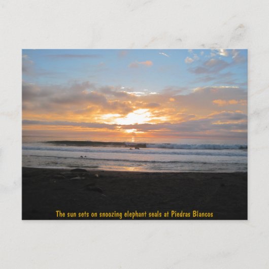 Sun-Sets auf snoozing Elephant-Siegeln Postkarte (Vorderseite)