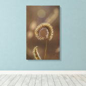 Sun Shine auf mich! Leinwanddruck (Insitu (Holzboden))