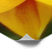 Sun Shine Poster (Ecke)