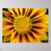 Sun Shine Poster (Vorne)