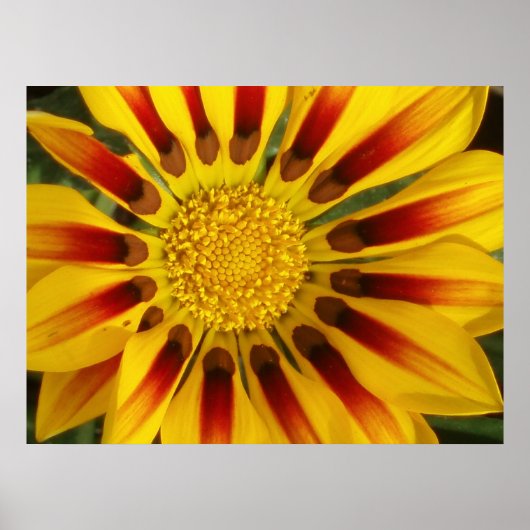 Sun Shine Poster (Vorne)