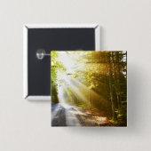 Sun-Strahlen durch Wald im Acadia-Nationalpark Button (Vorne & Hinten)