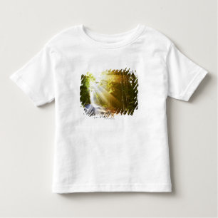 Sun-Strahlen durch Wald im Acadia-Nationalpark Kleinkind T-shirt