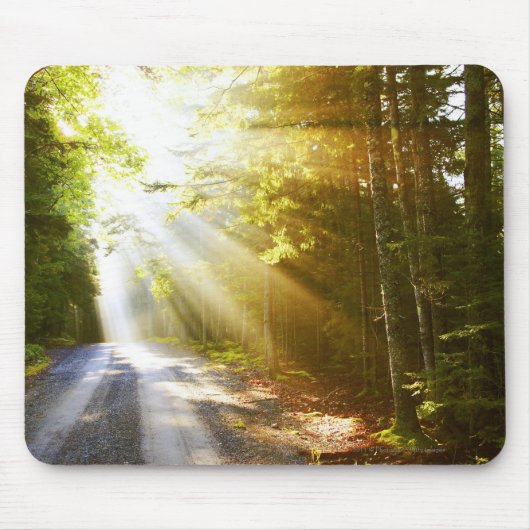 Sun-Strahlen durch Wald im Acadia-Nationalpark Mousepad (Vorne)