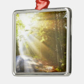 Sun-Strahlen durch Wald im Acadia-Nationalpark Silbernes Ornament (Links)