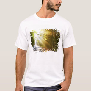 Sun-Strahlen durch Wald im Acadia-Nationalpark T-Shirt