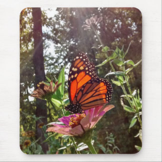 Sun Stream auf dem Monarch auf der Blume Mousepad