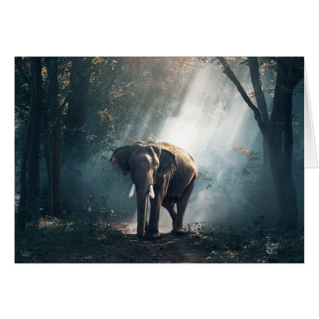 Sun strich Elefanten in der Waldleeren Karte (Vorderseite (Horizontal))