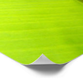 Sun-Suche Poster (Ecke)