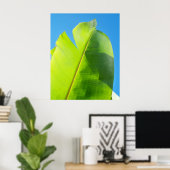 Sun-Suche Poster (Heimbüro)