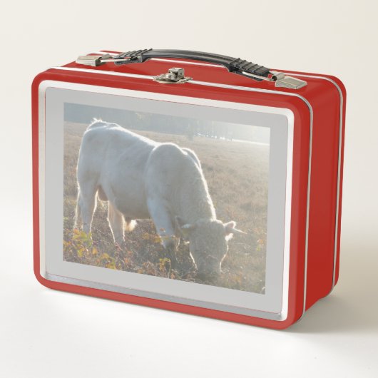 Sun Surround White Cow Lunchbox (Vorderseite)