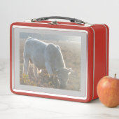 Sun Surround White Cow Lunchbox (Beispiel)